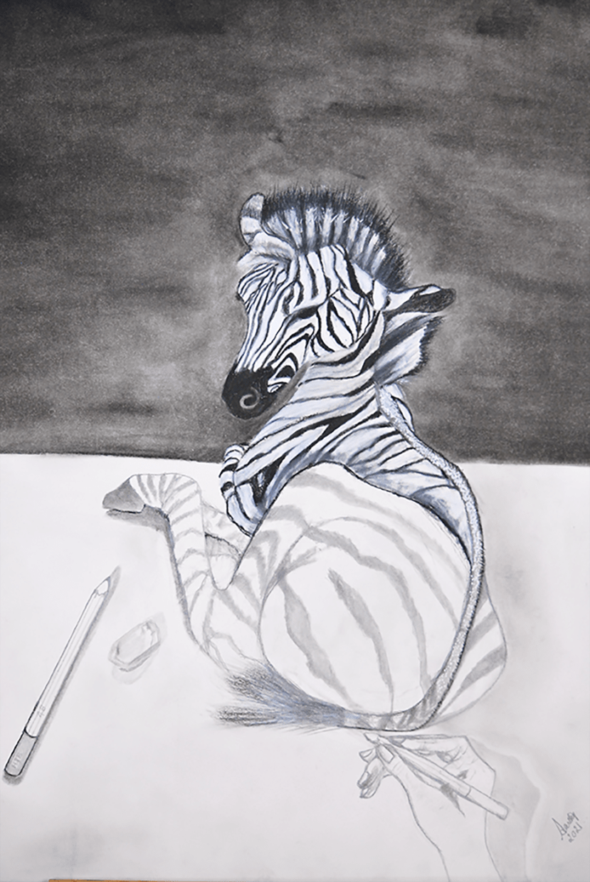 Zebra
